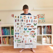 探索貼紙海報(6-12歲)【昆蟲世界】