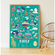 教育海報 + 45 張貼紙 （6-12 歲）【鳥類】