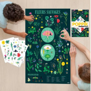 教育海報 + 72 張貼紙 （7-12歲）【植物學】