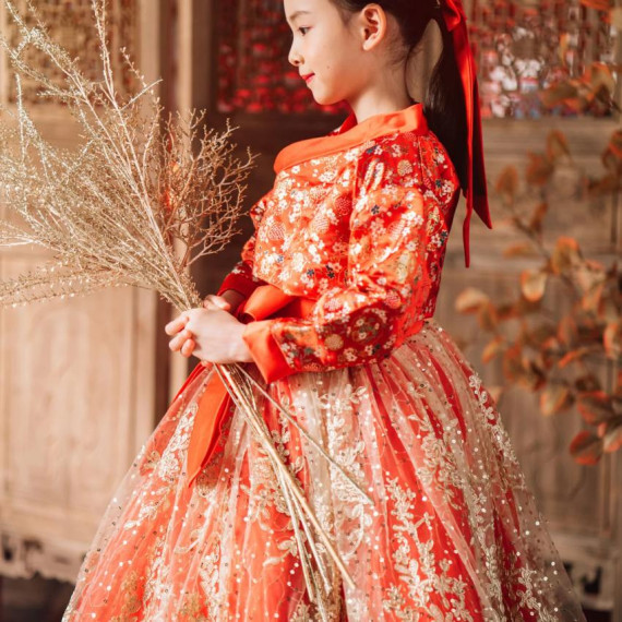 Chinese New Year Dress